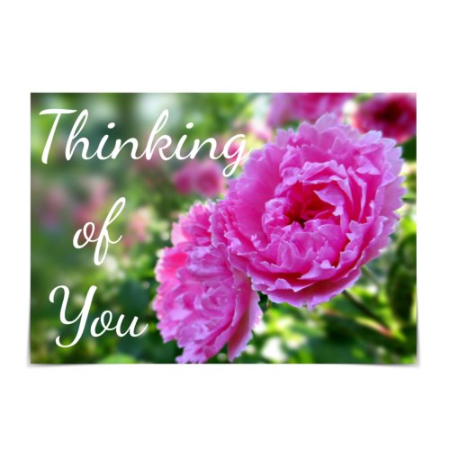 Thinking of You Pink Roses Card