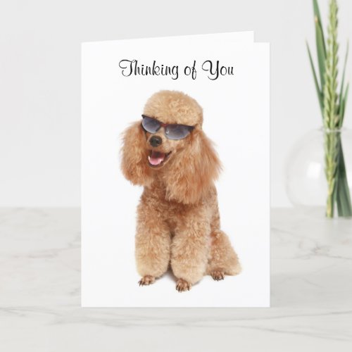 Thinking of You Poodle Greeting Card _ Verse