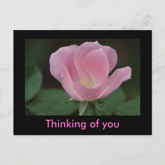 Thinking of you postcard (Front)