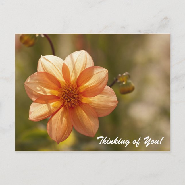 Thinking of You Postcard (Front)