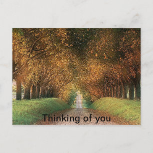 Thinking of you postcard