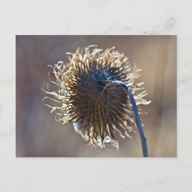 Thinking of you postcard (Front)