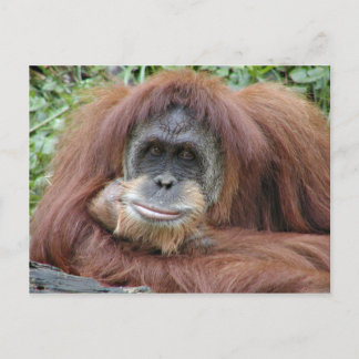 Thinking of you postcard