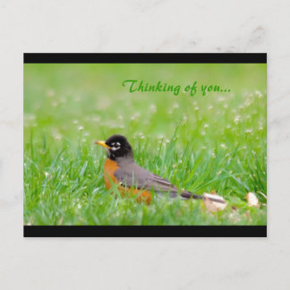 Thinking of you... postcard