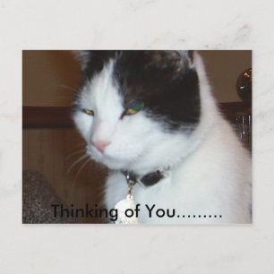 Thinking of You......... Postcard