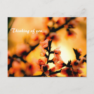Thinking of you... postcard