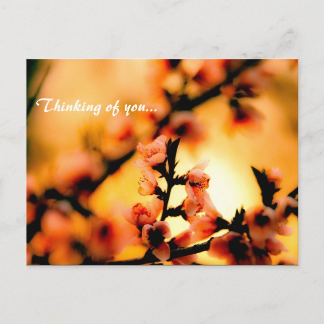Thinking of you... postcard (Front)