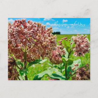 Thinking of You Postcard