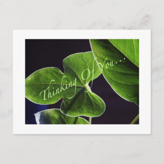 Thinking of You. Postcard