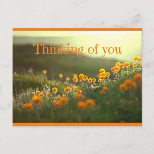 Thinking Of You Postcard Greeting Card (Front)