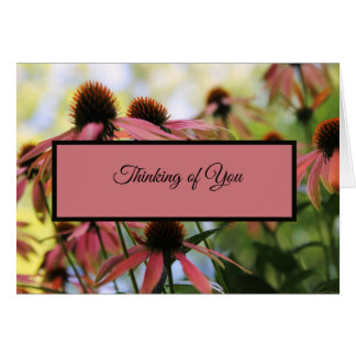 Thinking of You Prayer Cards