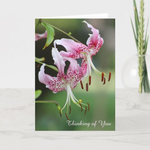 Thinking of You Pretty Pink Tiger Lily Floral Card