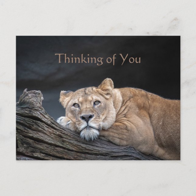 Thinking of You Quote Picture Postcard (Front)