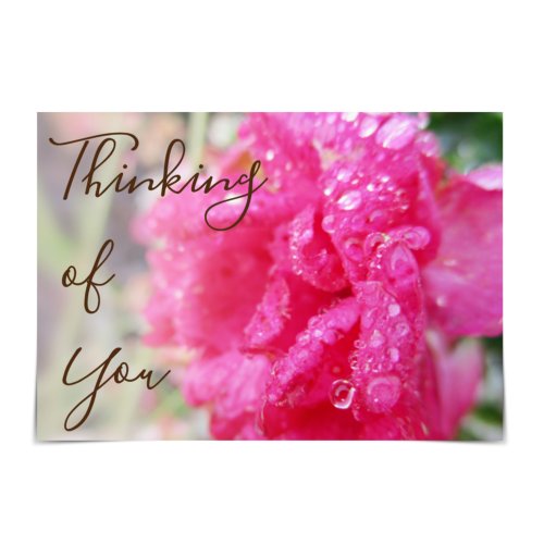 Thinking of You Raindrops on Roses Card