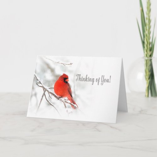 Thinking of You _ Red Cardinal Snow Scene Card