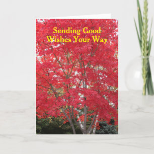 Thinking of You Red Fall Leaves Tree Card