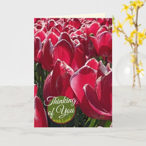 Thinking of You Red Tulips Flower Greetings Card