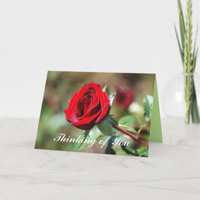 Thinking of You Romantic Red Rose Card | Zazzle