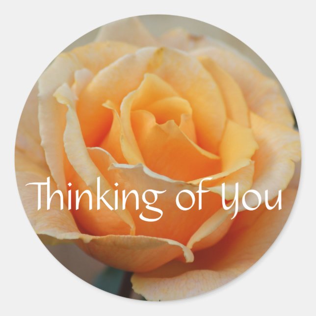 Thinking of you, rose in peach classic round sticker (Front)