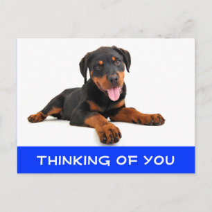 Thinking of You Rottweiler Puppy Dog Postcard