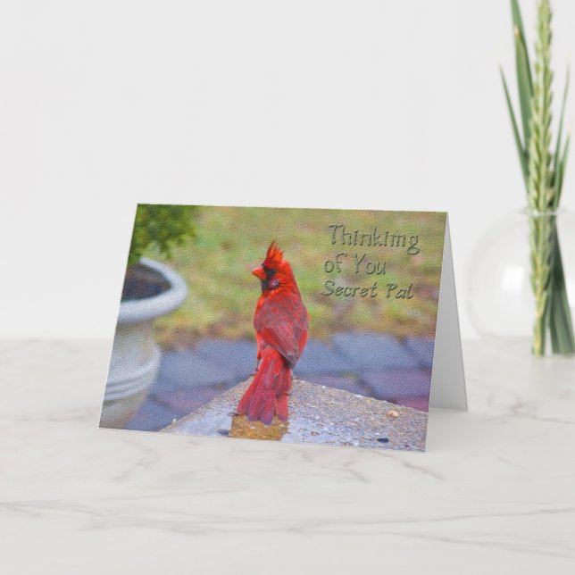 Thinking of You - Secret Pal -  Red Cardinal Card (Front)