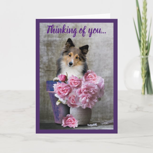 Thinking of You Sheltie Dog Card Personalize (Front)