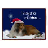 Thinking of You Sheltie Notecards (Front Horizontal)