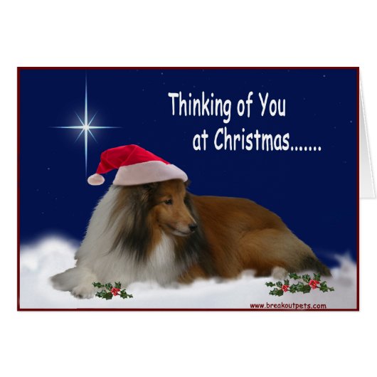 Thinking of You Sheltie Notecards Cards (Front Horizontal)