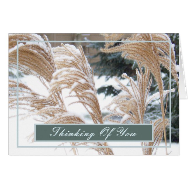 THINKING OF YOU/SNOW-COVERED ORNAMENTAL GRASS CARDS (Front Horizontal)