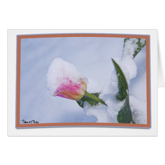 Thinking of You Snow Covered Pink Tulip Cards (Front Horizontal)