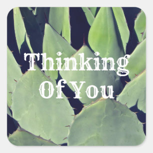 Thinking of You Southwest Style Agave Friendship Square Sticker
