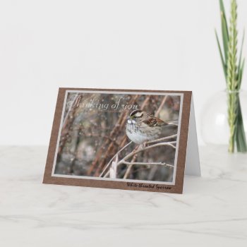 Thinking Of You Sparrow Card by Considernature at Zazzle