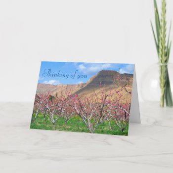Thinking Of You Springtime Template Card by bluerabbit at Zazzle