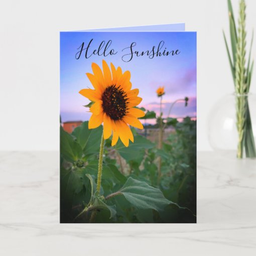 Thinking of You Sunflower at Sunset Photo Custom Card Zazzle