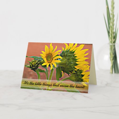 Thinking of You Sunflower Bud Blooms Photo Card