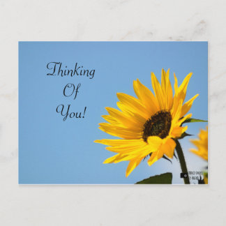 Thinking of You Sunflower Card