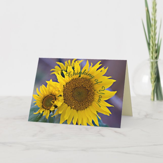 Thinking Of You Sunflowers Close-Up Photograph Card (Front)