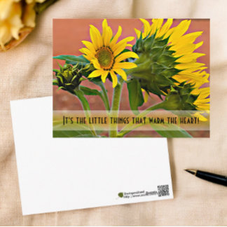 Thinking of You Sunflowers Photograph Template Postcard