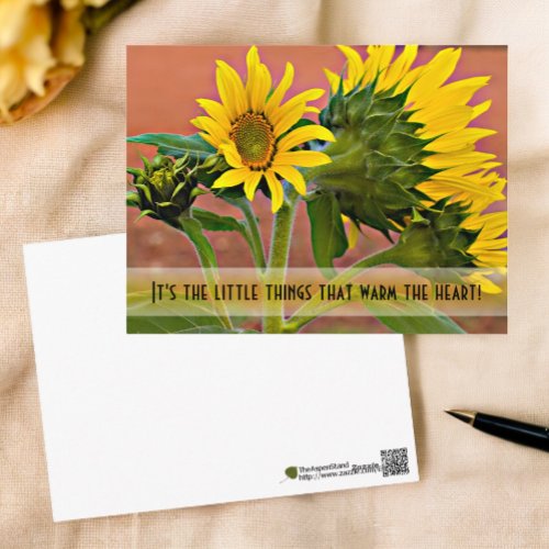 Thinking of You Sunflowers Photograph Template Postcard