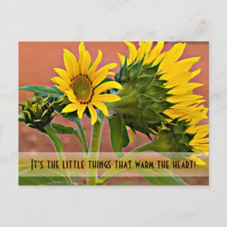 Thinking of You Sunflowers Photograph Template
