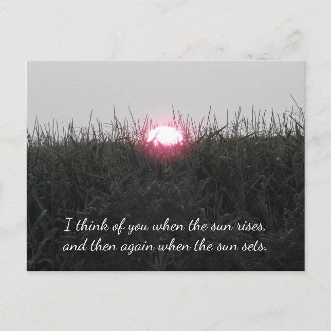 Thinking of You, sunrise and sunset quote Photo Postcard (Front)