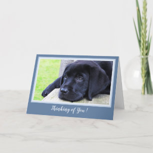 Thinking of You - Sweet Black Labrador Puppy Card