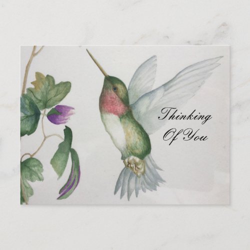 Thinking Of You Sweet Hummingbird Garden Postcard