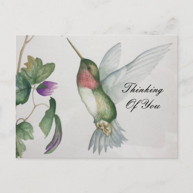 Thinking Of You Sweet Hummingbird Garden Postcard (Front)