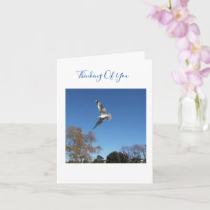 Thinking Of You Sympathy Card