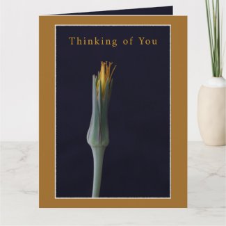 Thinking of You! Sympathy Floral on Golden Brown