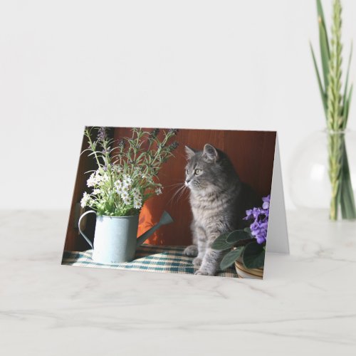 Thinking of You Tabby Cat  Card