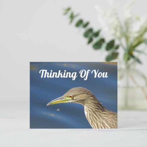 Thinking Of You Tan Bird Long Distance Friendship Postcard