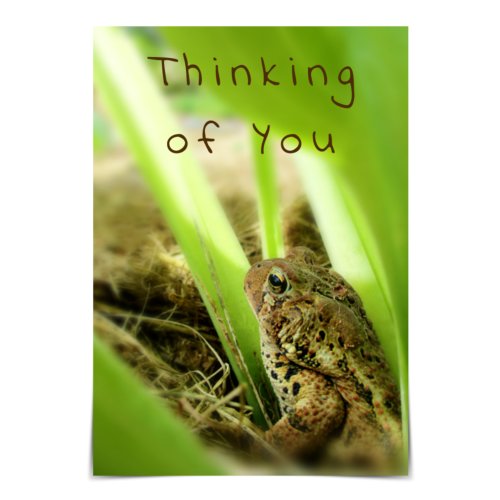 Thinking of You Thoughtful Toad Card