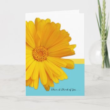 Thinking Of You  Trendy Summer Blue  Yellow Daisy Card by PhotographyTKDesigns at Zazzle